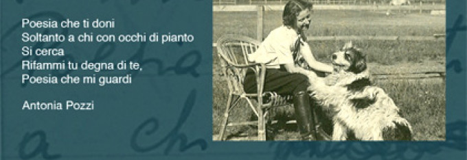 POESIA CHE MI GUARDI